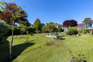 Photo 12- click for photo gallery